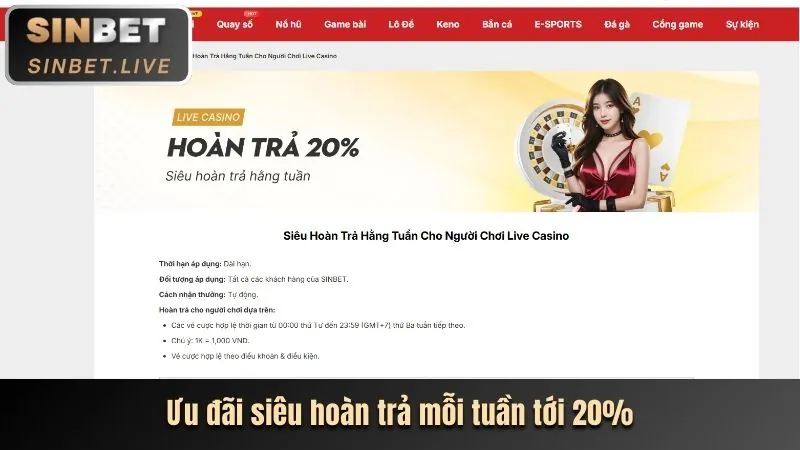 Các chương trình khuyến mãi và ưu đãi độc quyền dành cho cá cược thể thao VSBET